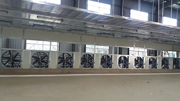 5e0f020285b71.jpg 1.jpg